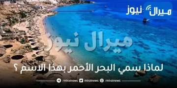 لماذا سمي البحر الأحمر بهذا الاسم ؟