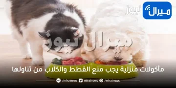 مأكولات منزلية يجب منع القطط والكلاب من تناولها
