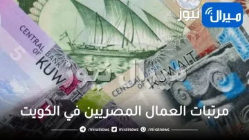 كم مرتبات العمال المصريين في الكويت