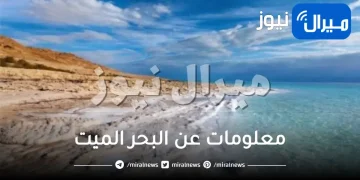 معلومات عن البحر الميت