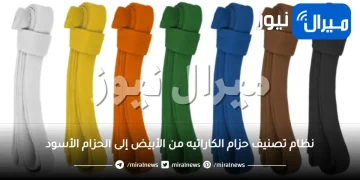 نظام تصنيف حزام الكاراتيه من الأبيض إلى الحزام الأسود