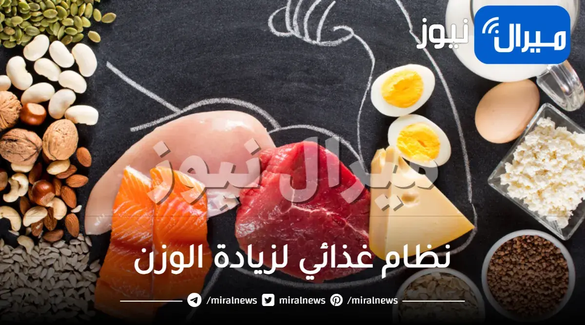 نظام غذائي لزيادة الوزن