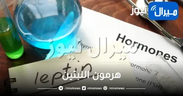 هرمون اللبتين ماهو وتحليله وعلاقته بالسمنة
