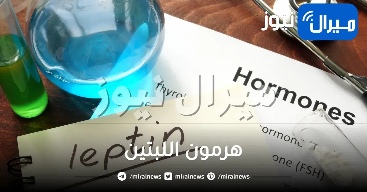 هرمون اللبتين ماهو وتحليله وعلاقته بالسمنة