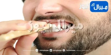 هل جربت يومًا استخدام هذه الأنواع الطبيعية من المسواك ؟!