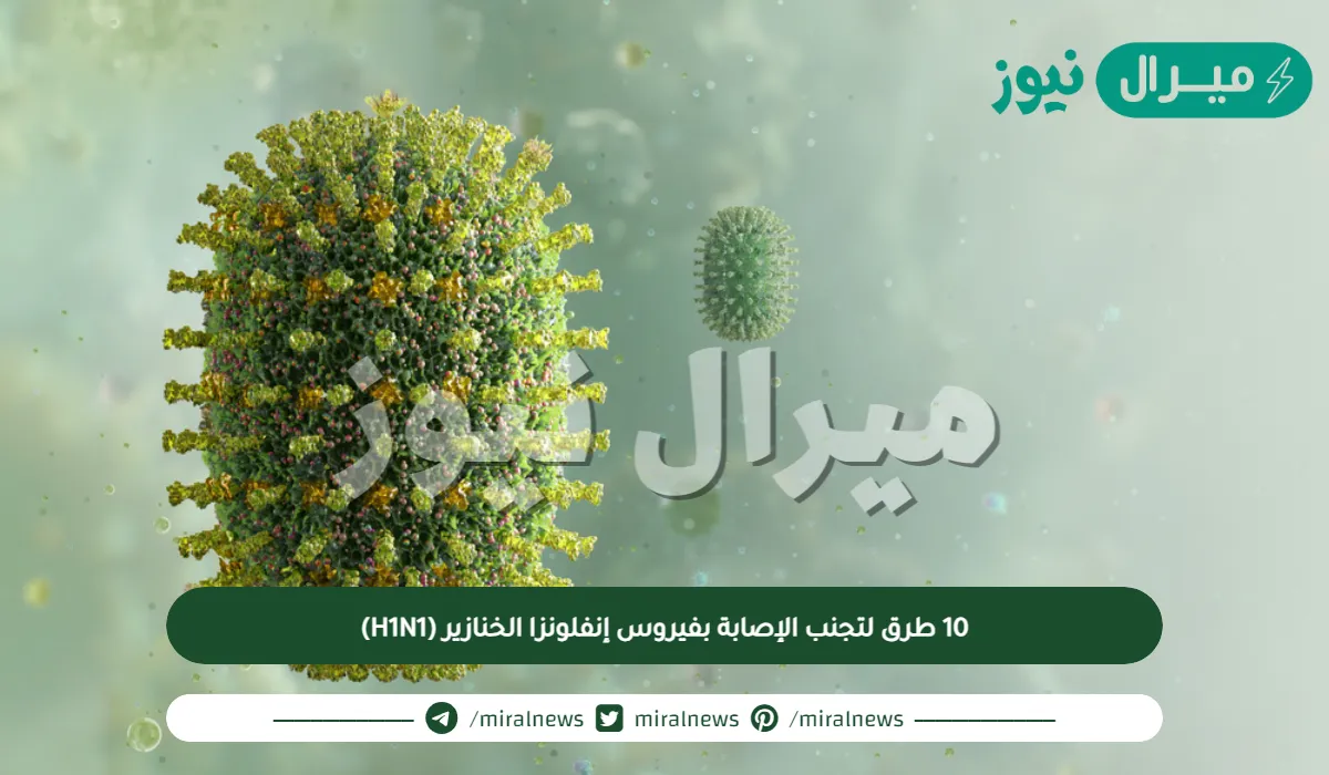 10 طرق لتجنب الإصابة بفيروس إنفلونزا الخنازير (H1N1)