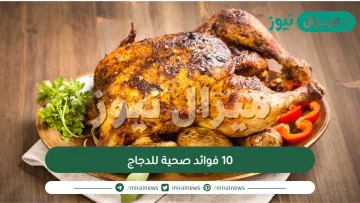 10 فوائد صحية للدجاج