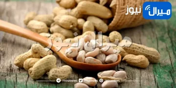 10 فوائد مذهلة للفول السوداني