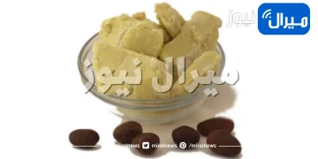 11 فائدة مذهلة لزبدة الشيا لبشرتك