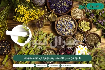 15 نوع من شاي الأعشاب يجب توفره في خزانة مطبخك