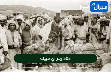 503 رمز اي قبيلة
