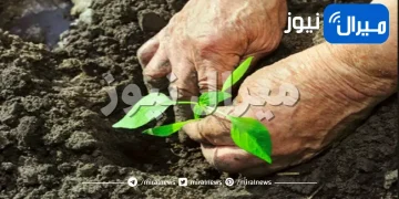 7 نصائح خاطئة للبستنة ينبغي تجاهلها