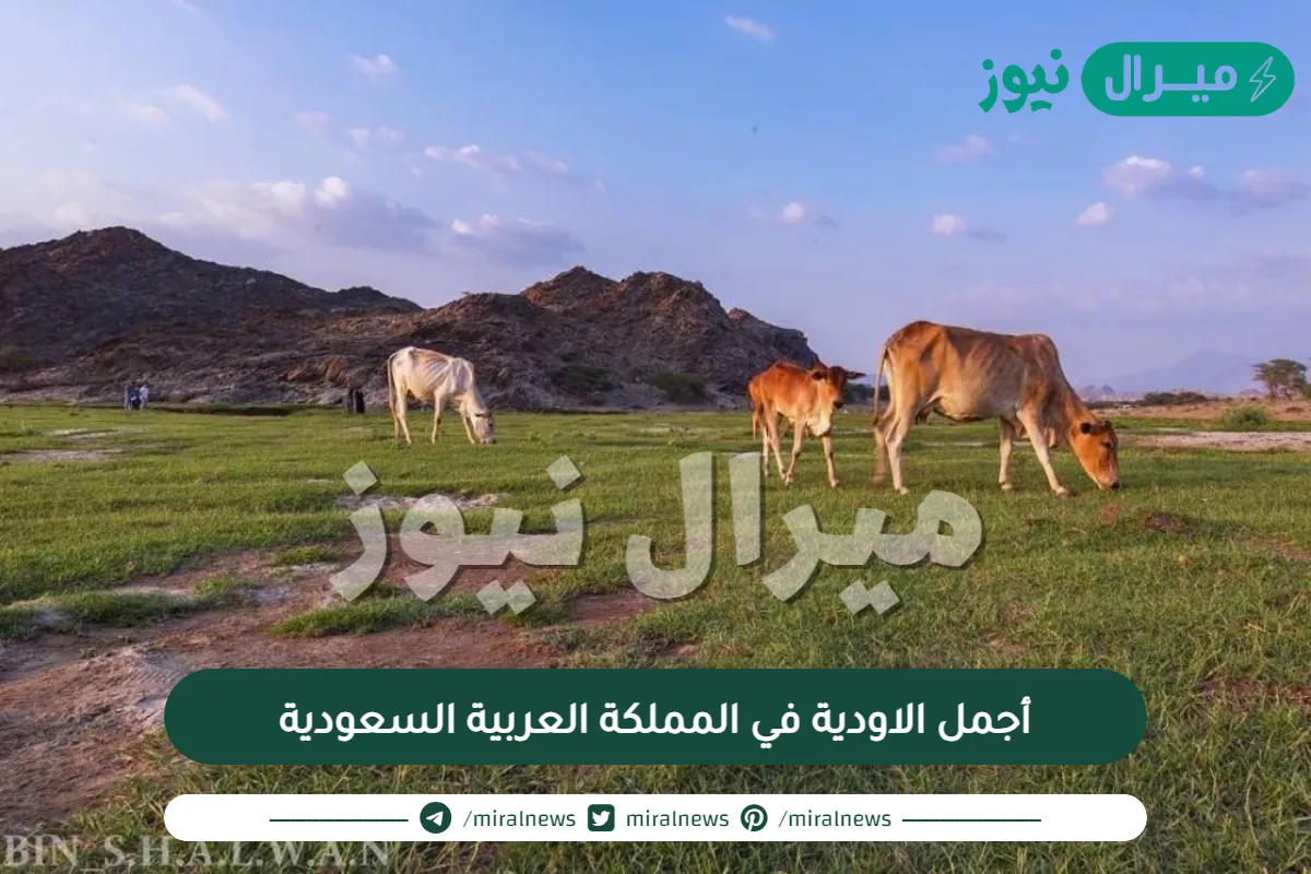 10 مِن أجمل الاودية في المملكة العربية السعودية