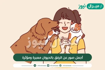 أجمل صور عن الرفق بالحيوان معبرة ومؤثرة