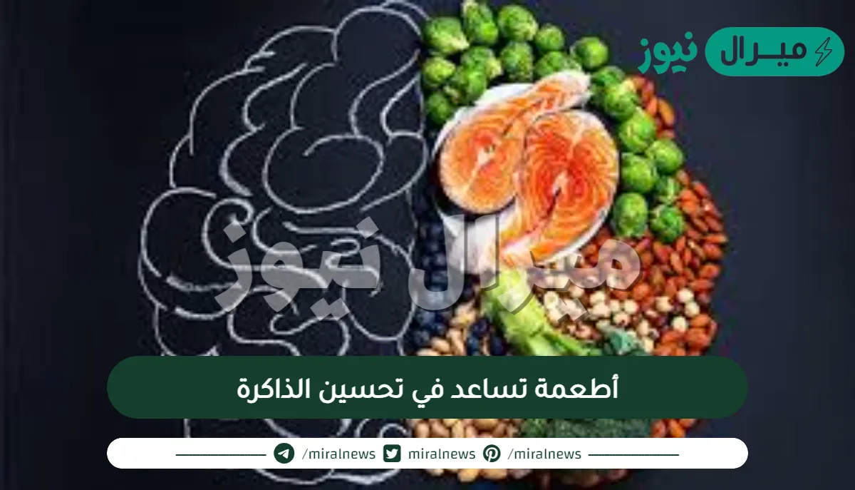 أطعمة تساعد في تحسين الذاكرة