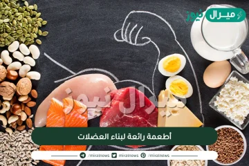 10 أطعمة رائعة لبناء العضلات