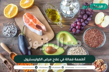 أطعمة فعالة في علاج مرض الكوليسترول