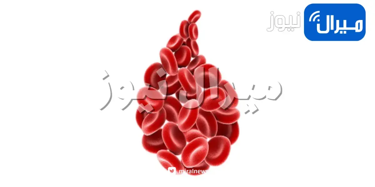 أطعمة قد تساعد على التحكم في مرض سيولة الدم