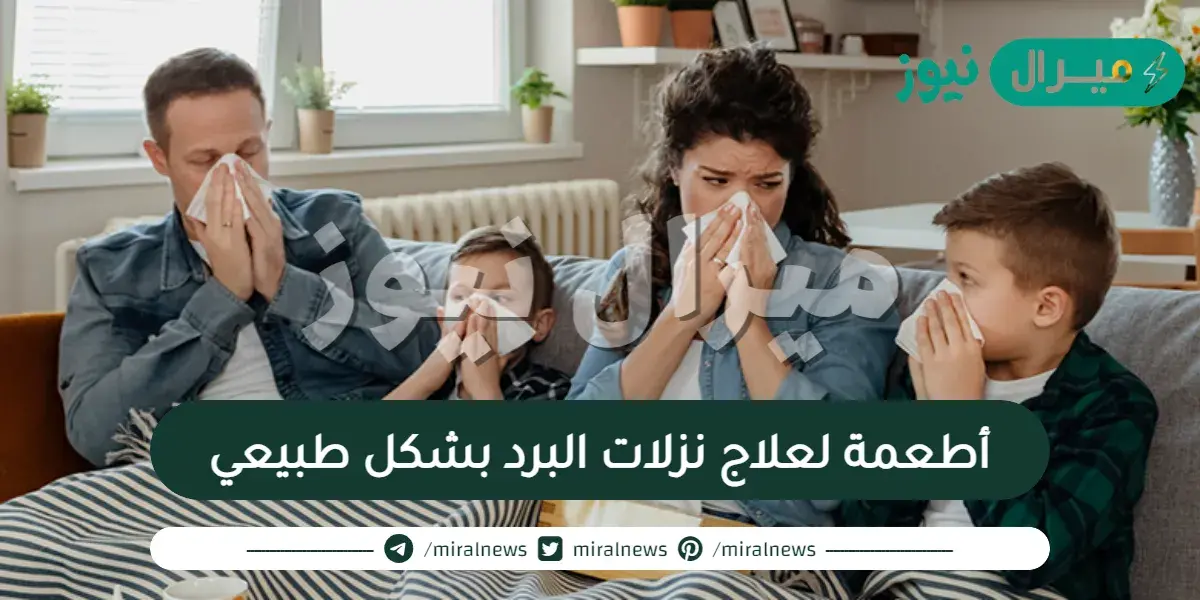 أطعمة لعلاج نزلات البرد بشكل طبيعي