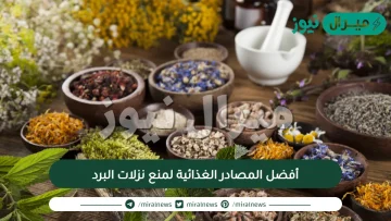 أفضل المصادر الغذائية لمنع نزلات البرد