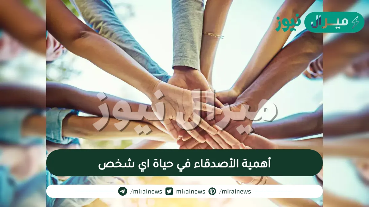 أهمية الأصدقاء في حياة اي شخص