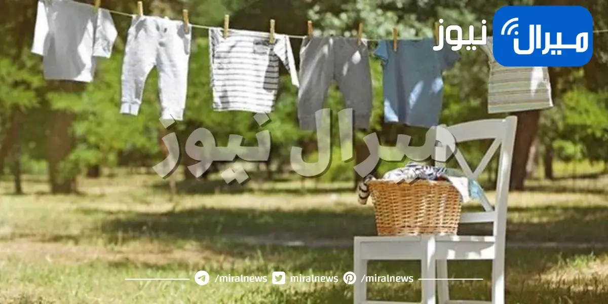 أيهما تُفضل المنظفات البودرة (المسحوق) أم المنظفات السائلة