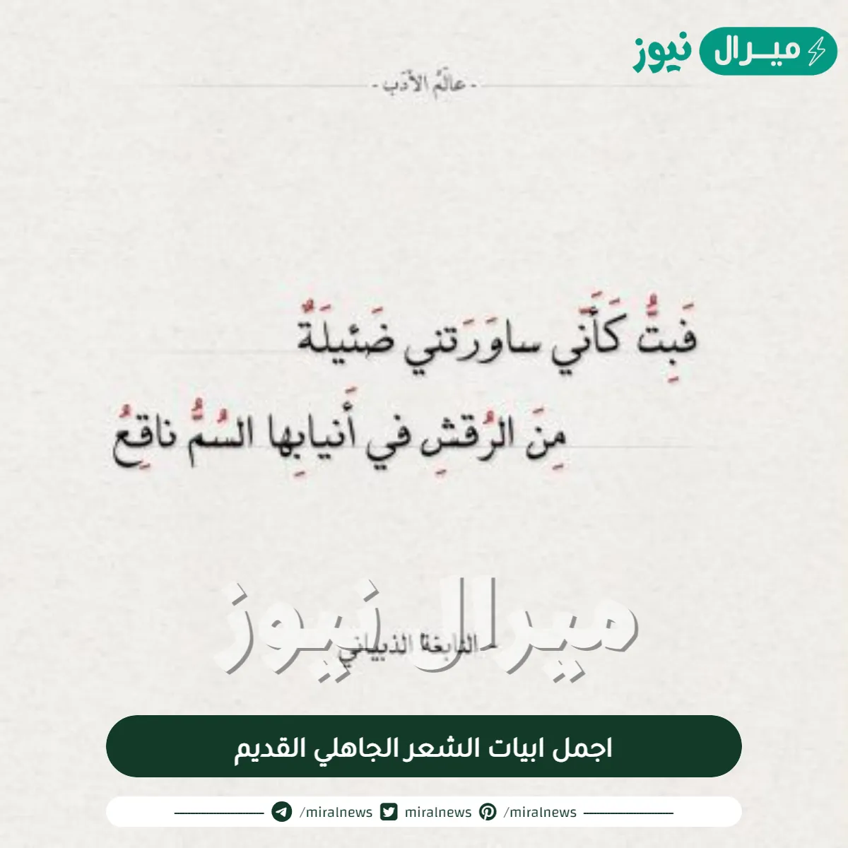 اجمل ابيات الشعر الجاهلي القديم