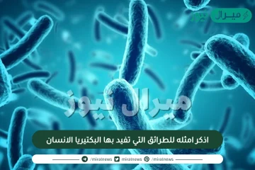 اذكر امثله للطرائق التي تفيد بها البكتيريا الانسان