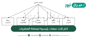 اذكر ثلاث صفات رئيسية لمملكة الفطريات