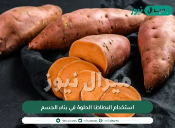 استخدام البطاطا الحلوة في بناء الجسم