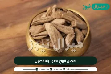 افضل انواع العود بالتفصيل