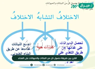 اقارن بين طريقة حصول كل من النباتات والحيوانات على الغذاء