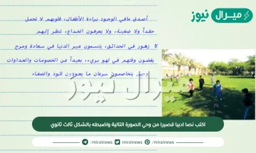 اكتب نصا ادبيا قصيرا من وحي الصورة التالية واضبطه بالشكل ثالث ثانوي