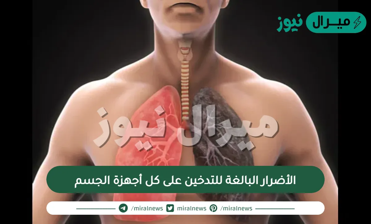 الأضرار البالغة للتدخين على كل أجهزة الجسم