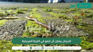 الديدان يمكن أن تنمو في التربة المريخية