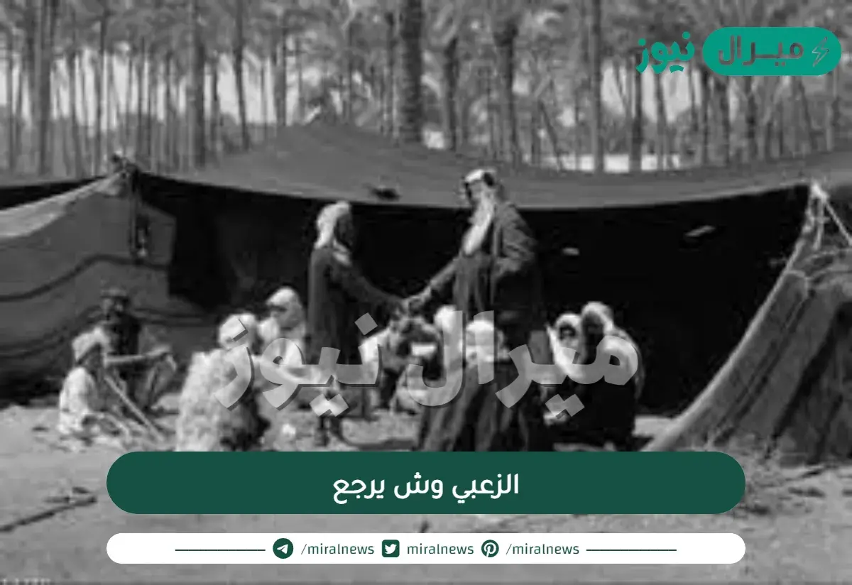 الزعبي وش يرجع