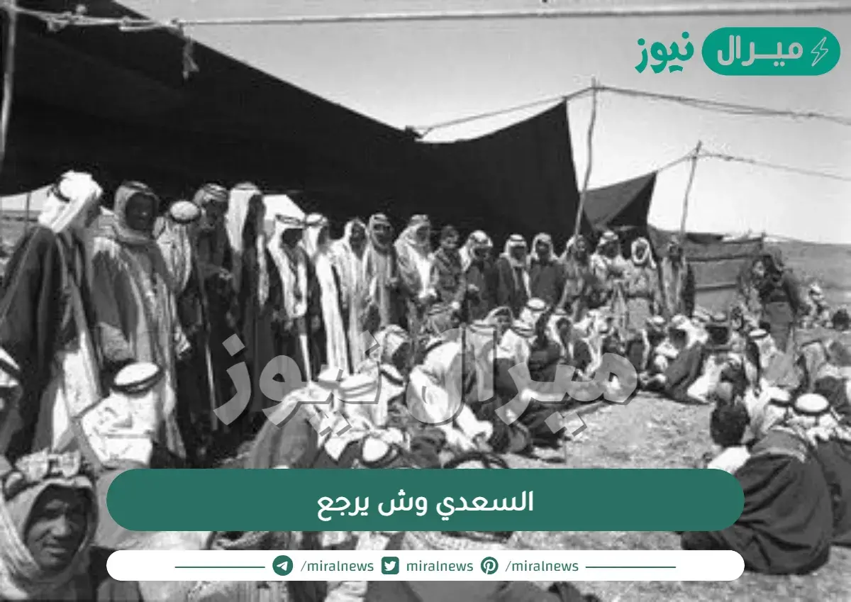 السعدي وش يرجع