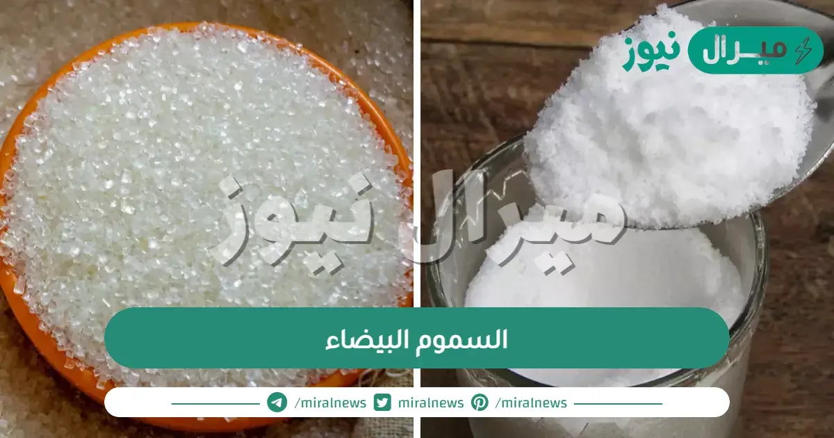 السموم البيضاء الموجودة في كل منزل
