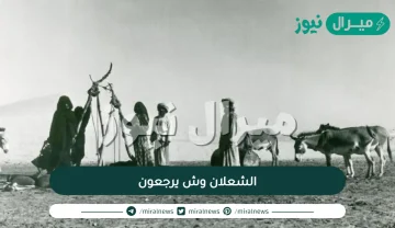 الشعلان وش يرجعون