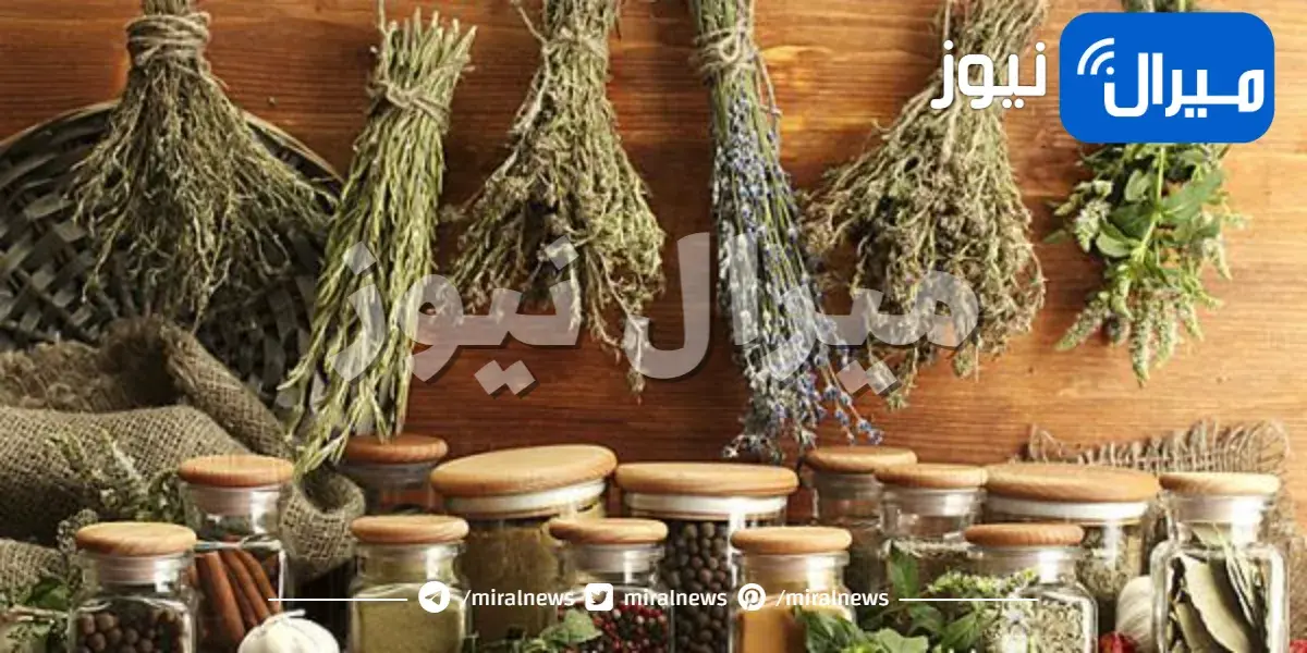 الطريقة الصحيحة لتجفيف الأعشاب بعد حصادها