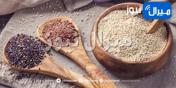الفوائد الصحية العظيمة في حبوب الكينوا