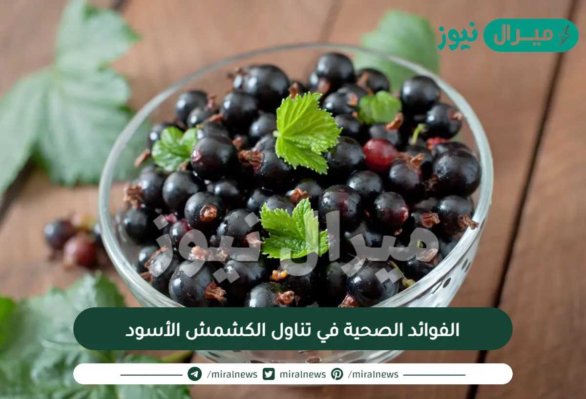 الفوائد الصحية في تناول الكشمش الأسود