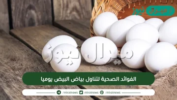 الفوائد الصحية لتناول بياض البيض يوميا