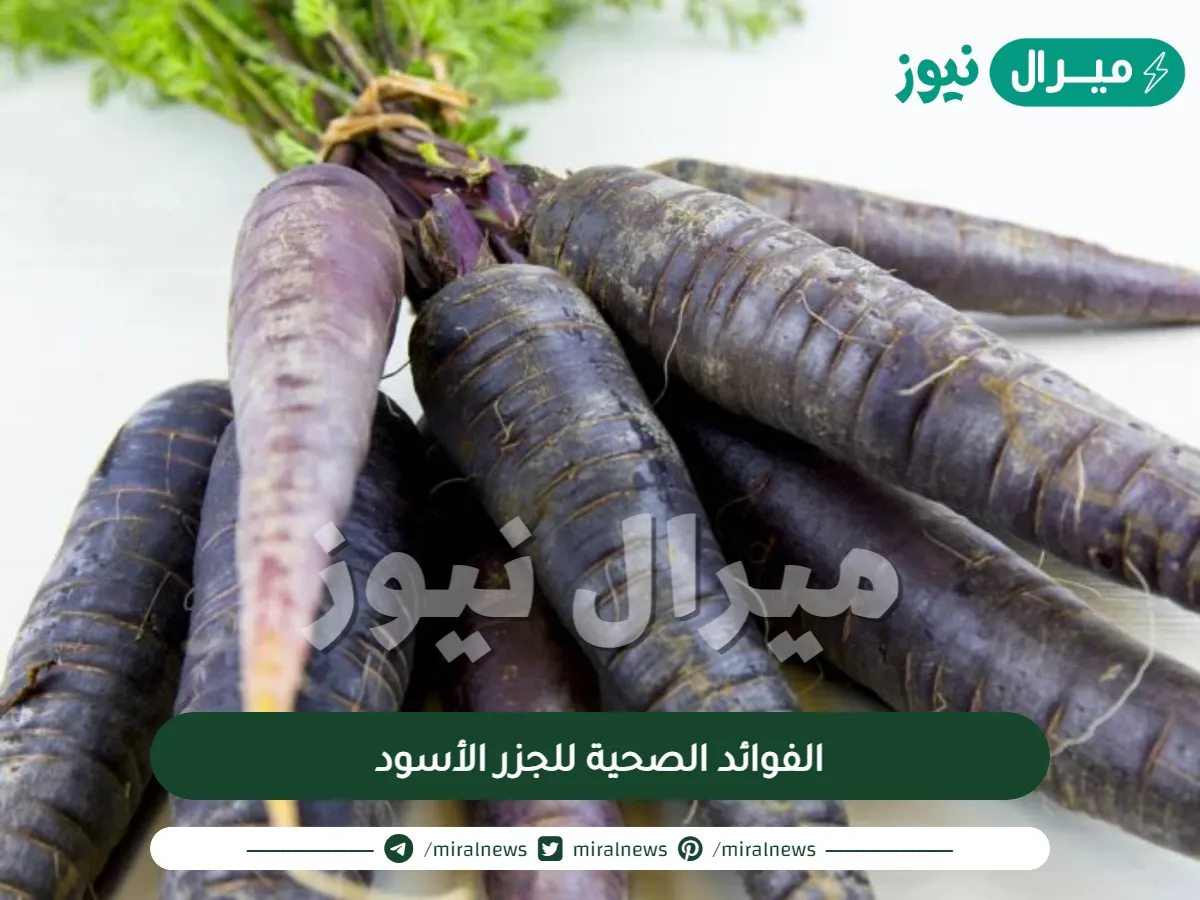 الفوائد الصحية للجزر الأسود