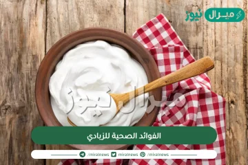 الفوائد الصحية للزبادي