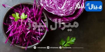 الفوائد الصحية للملفوف الأرجواني