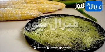 الفوائد المذهلة لحرير الذرة