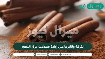 القرفة وتأثيرها على زيادة معدلات حرق الدهون