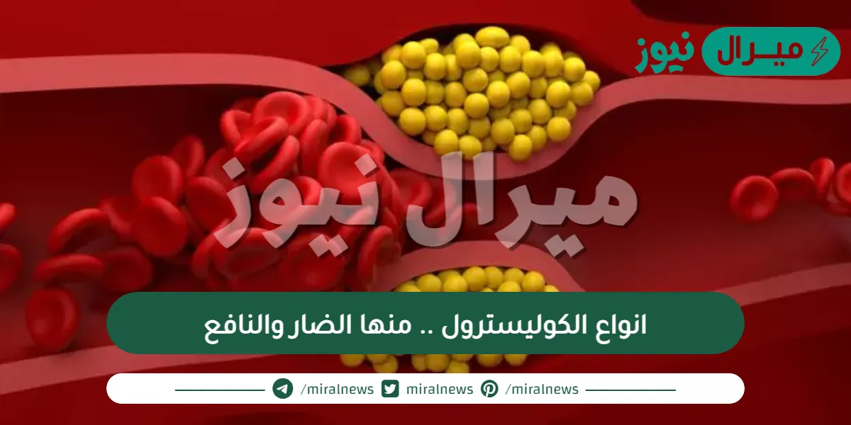 انواع الكوليسترول .. منها الضار والنافع