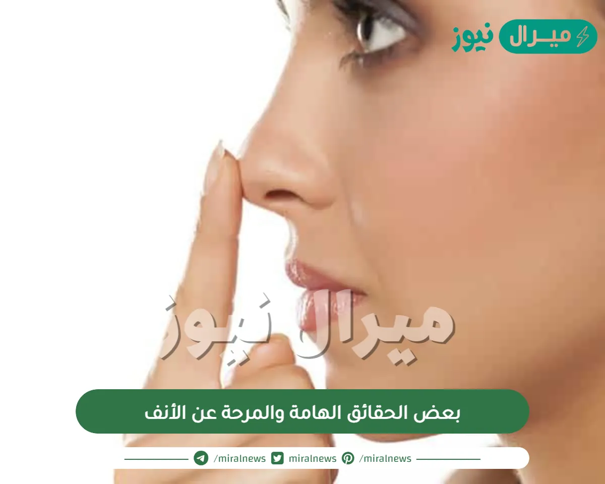 بعض الحقائق الهامة والمرحة عن الأنف